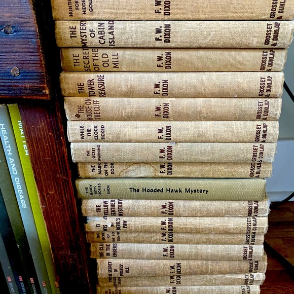 19 Hardy Boys books.